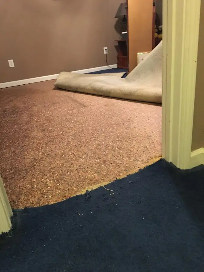 Carpet pad removal revealing water damage during Drying & Dehumidification in Hollins