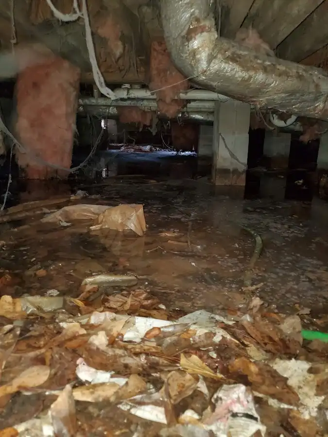 Crawl space flood assessment for Leak Detection & Repair in Hollins