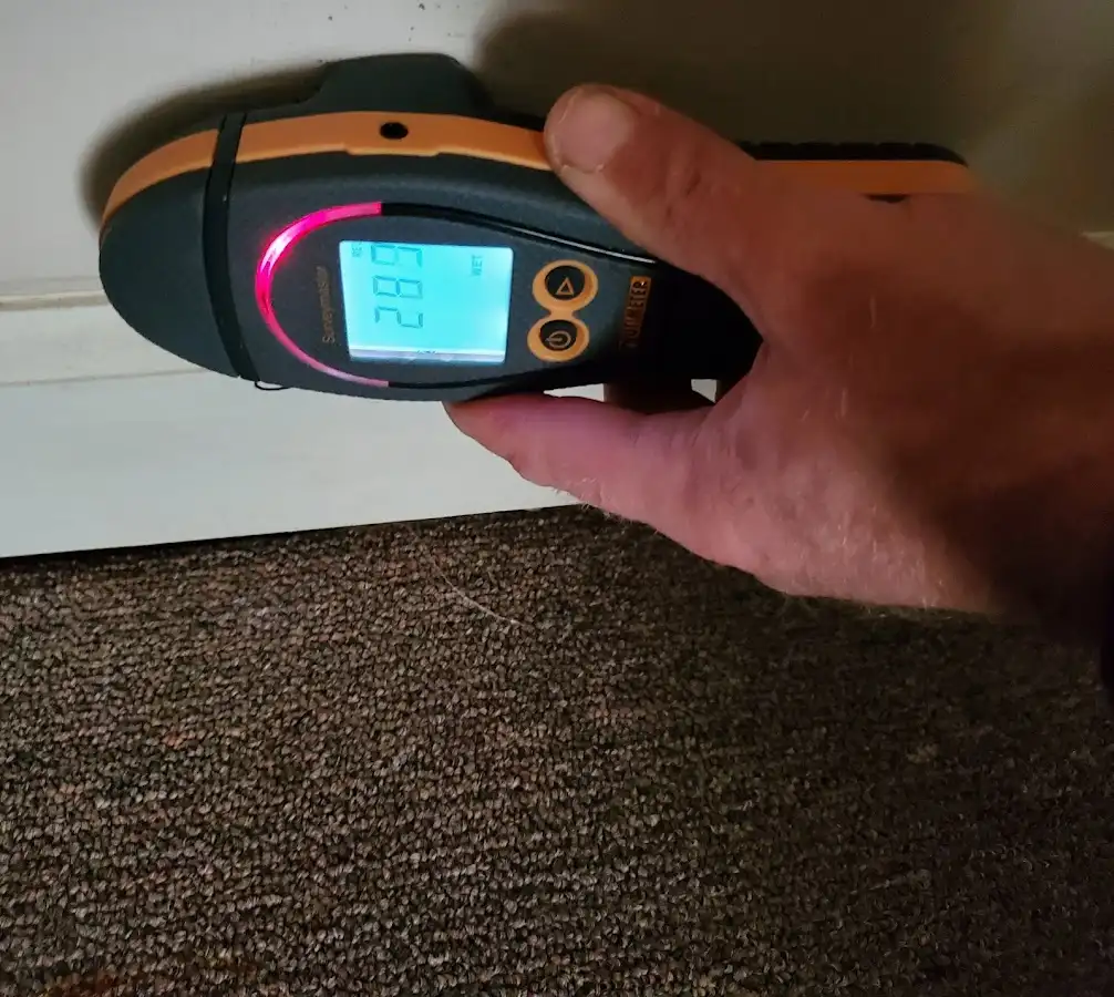 Moisture detection at baseboard during Sewage Cleanup & Sanitation in Hollins